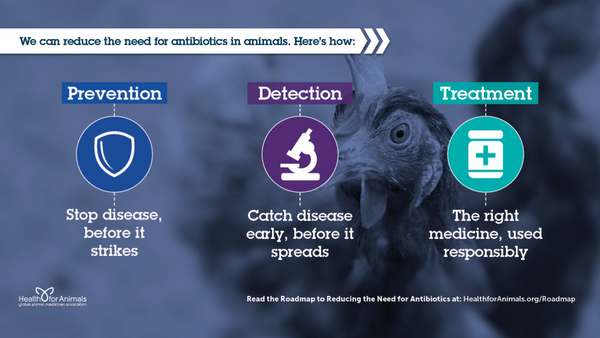World Antimicrobial Awareness Week: Seven days of One Health - Animal Health  Innovation Network